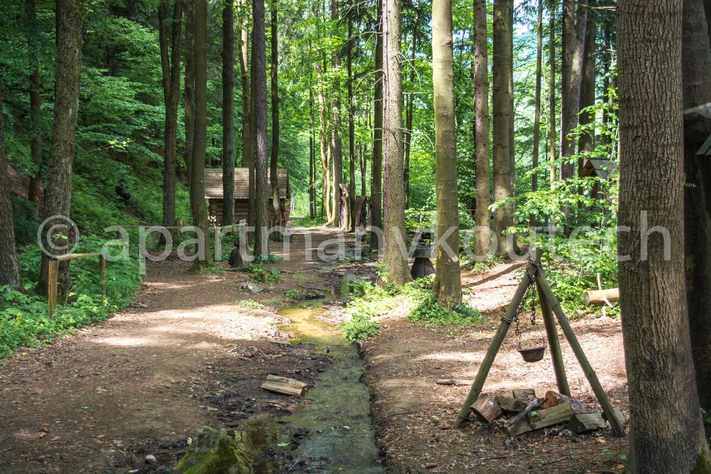 Apartmán v Koutech Kouty nad Desnou Esterno foto